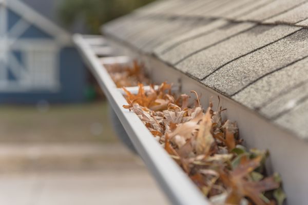Leaf Barrier Installation in Eden Prairie